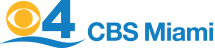 CBS Mentoring Matters
